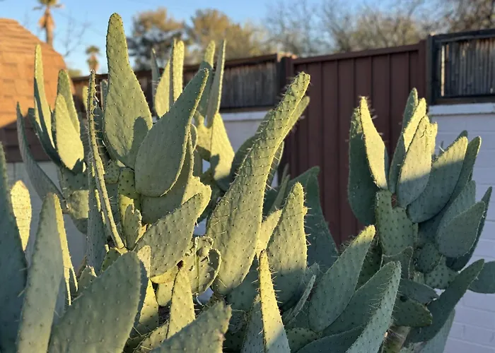 3br Retreat With Pool In Tucson, Near Ua *