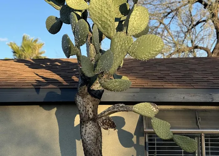 Сasa de vacaciones 3br Retreat With Pool In Tucson, Near Ua *